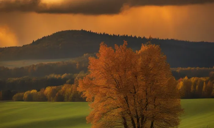 Kostel Nejsvětější Trojice (Slaný) – autumn
