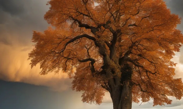 Kostel Povýšení svatého Kříže (Podštěly) – autumn