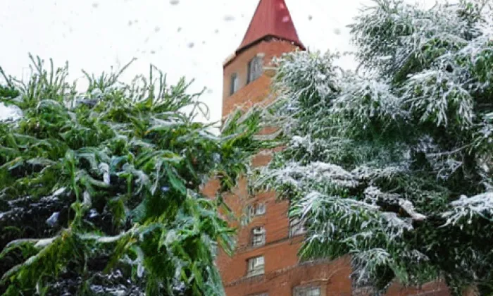 kostel svaté Cecilie (Dobré Pole) – winter