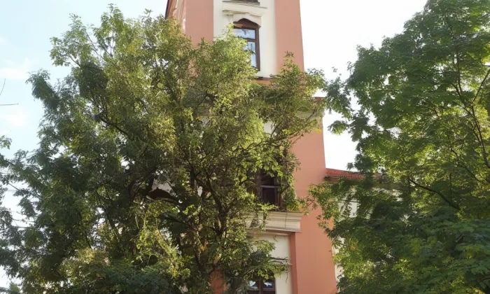 kostel svatého Jana Křtitele (Křenov) – summer