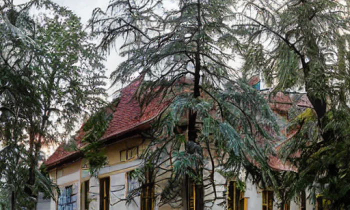 Kostel svatého Jana Křtitele a svatého Prokopa – summer
