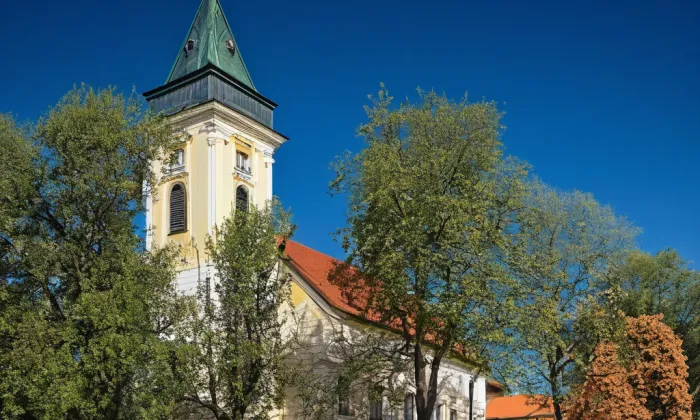 Kostel svatého Václava v Dolních Bojanovicích – summer