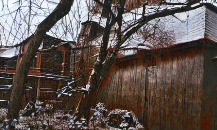 Lapikus – winter