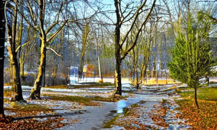 Letenské sady – winter