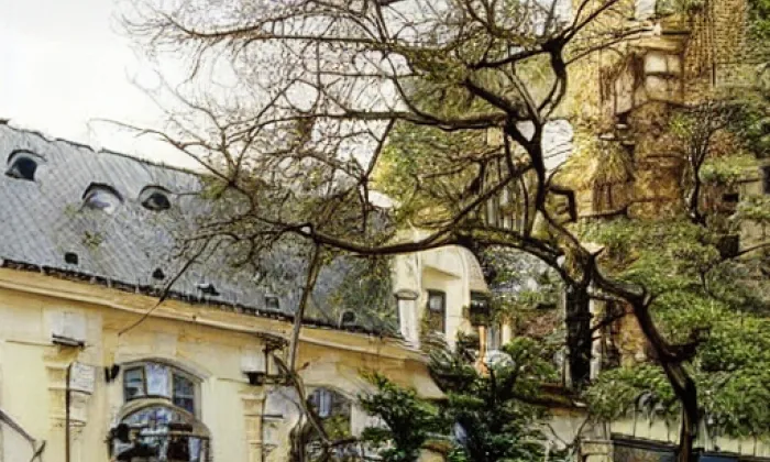 Lužany – noc