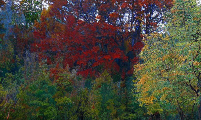 Markétská zahrada – autumn