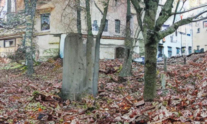Masarykovy sady (Josefov) – winter