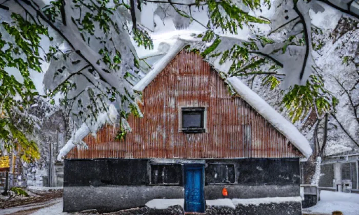 náhrobek Jana Palacha – winter