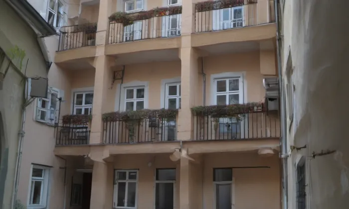 North Carolina State University – The Prague Institute – autumn