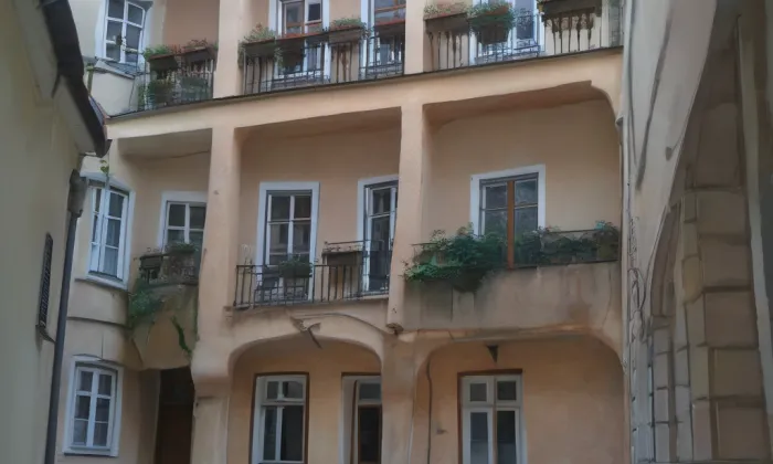 North Carolina State University – The Prague Institute – spring