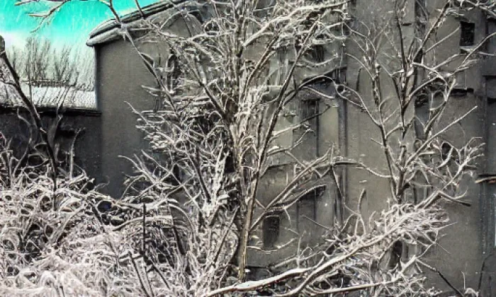 Obřany – winter