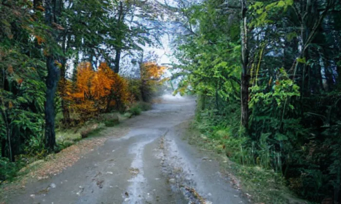 Oborská – autumn