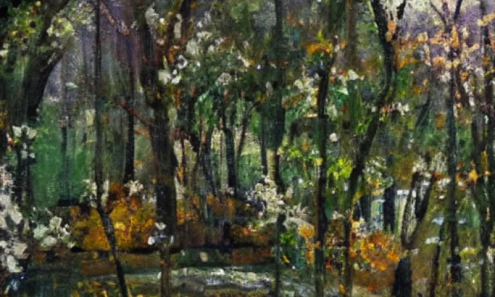 Okrouhlé Hradiště – spring