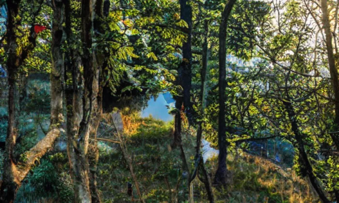 Okrouhlé Hradiště – summer