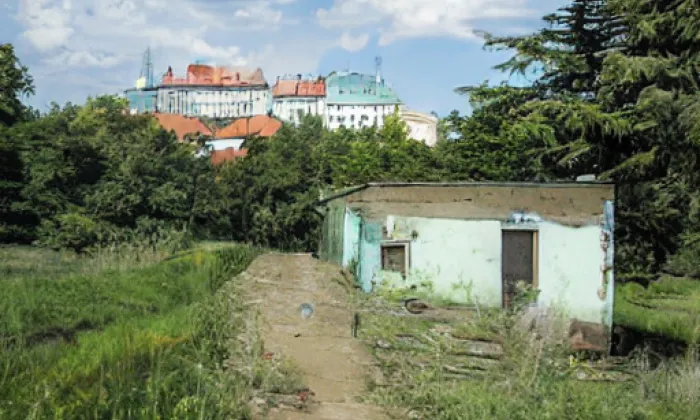 Pámelníková – akvarel