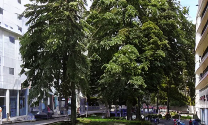 Park Dukelská – akvarel