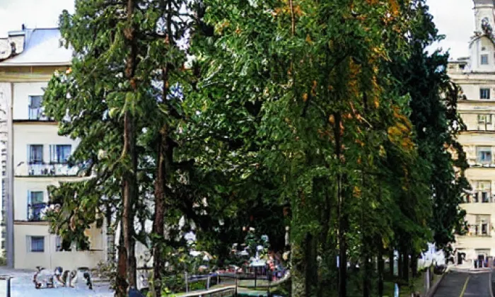 Park Dukelská – iluminace