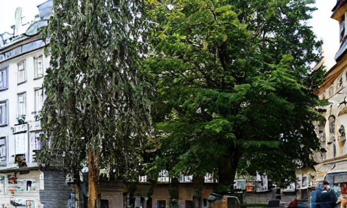 Park Dukelská – summer