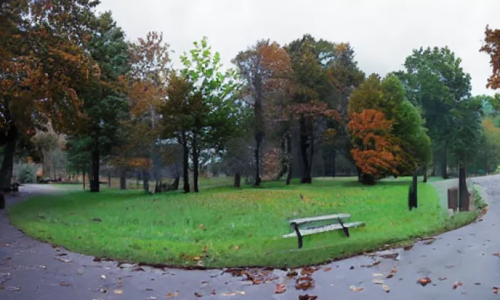Park Kampa – autumn