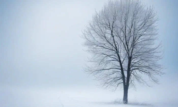 Piaristická kolej (Kadaň) – winter