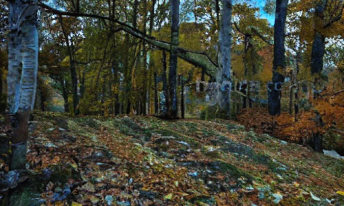 Plankenberk – autumn