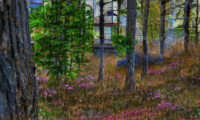 Plankenberk – spring