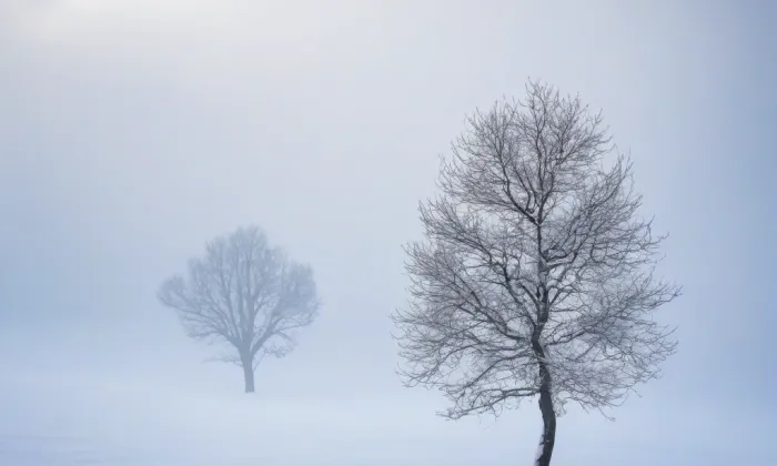 Rittnerův zámeček – winter