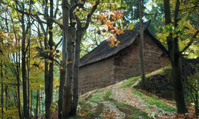 Roimund – autumn