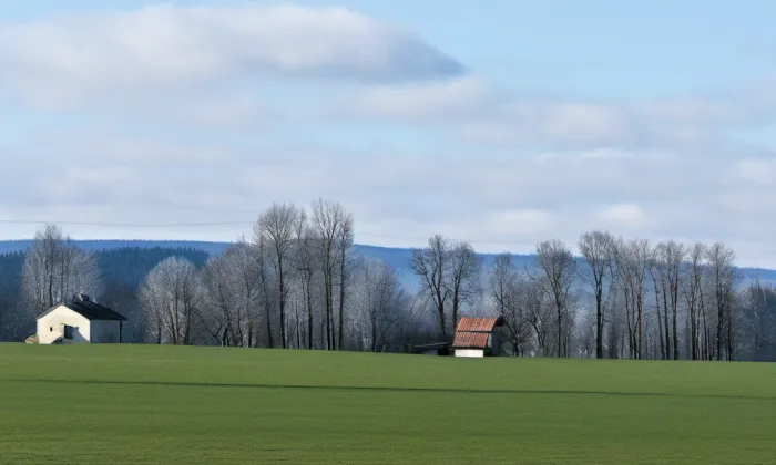 rozvodna Kočín – winter