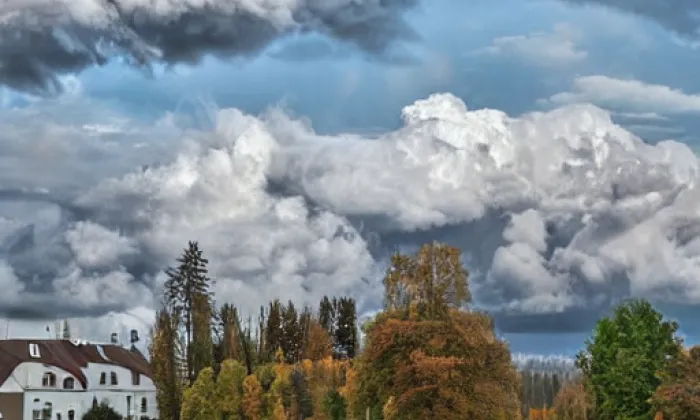rozvodna Přeštice – autumn