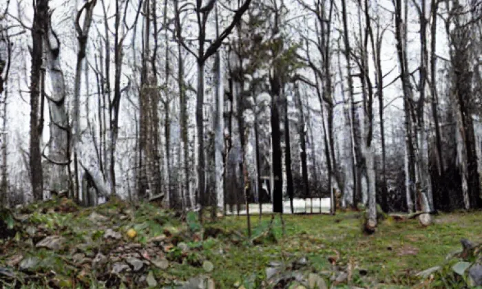 Rychmberk – winter