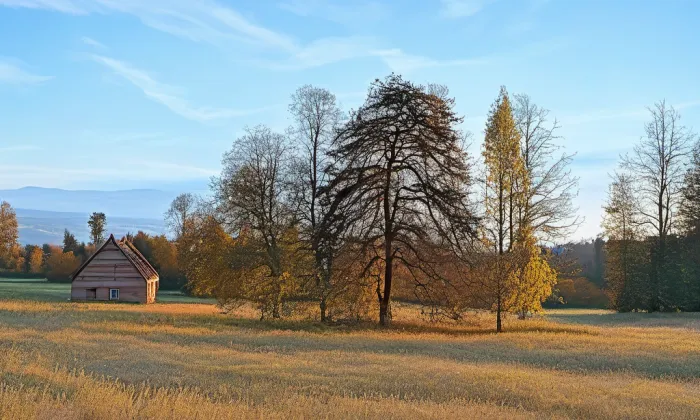 Rysov (Tišnovská Nová Ves) – summer