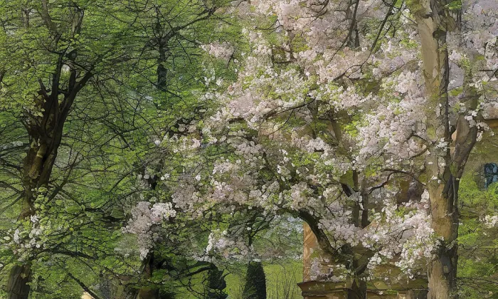 sad Jožky Jabůrkové – spring