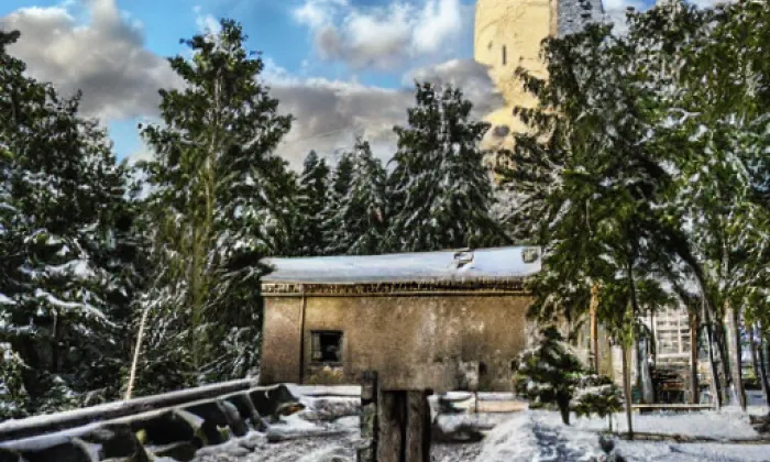 sady Bratří Čapků – winter