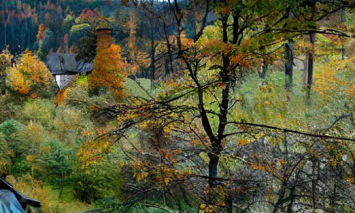 sklárna v Bedřichově – autumn
