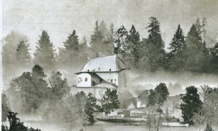 Suchá (hrad) – autumn
