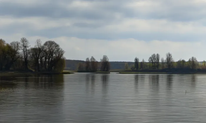 Svinenské předměstí – spring