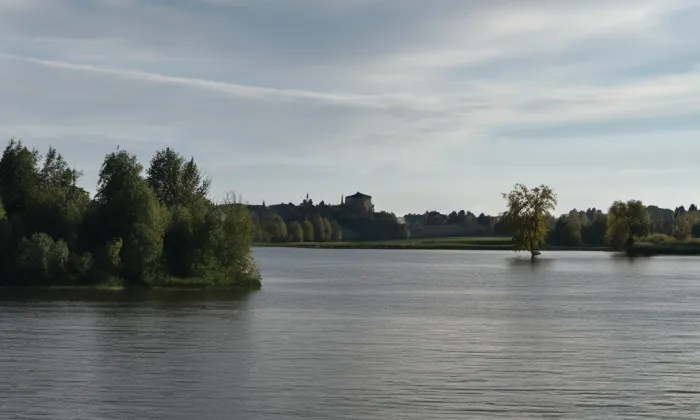 Svinenské předměstí – summer