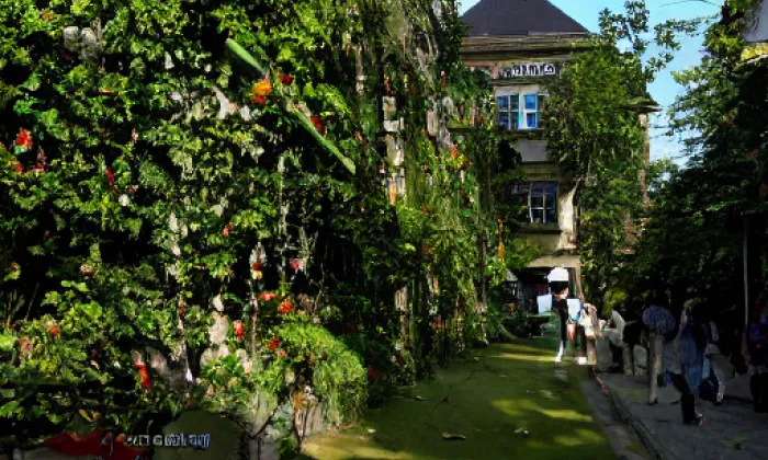 Týnské údolí – spring