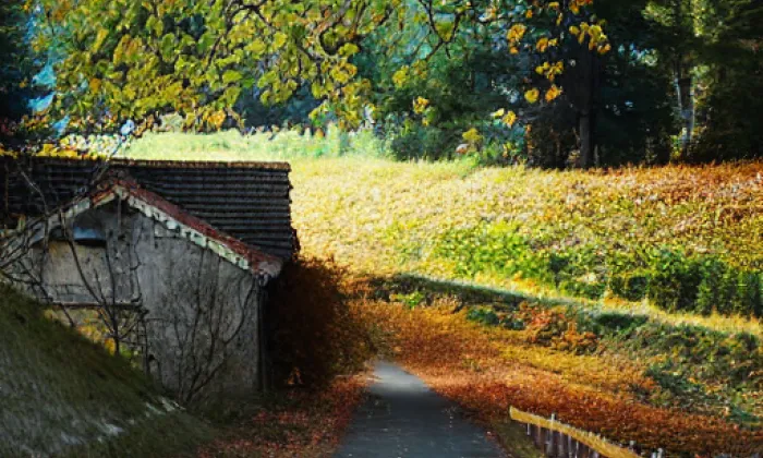 Vchynicko-tetovský plavební kanál – autumn