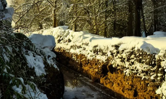 Vchynicko-tetovský plavební kanál – winter