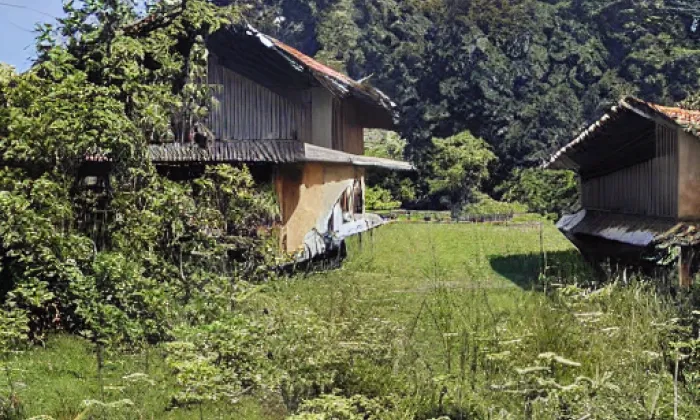 Venturka – akvarel