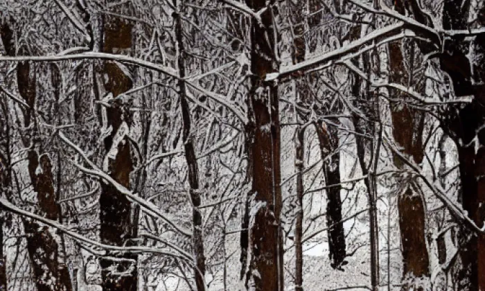 Vildenberk – winter