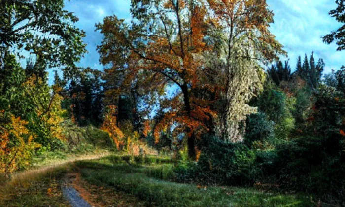 Vlčtejn – autumn
