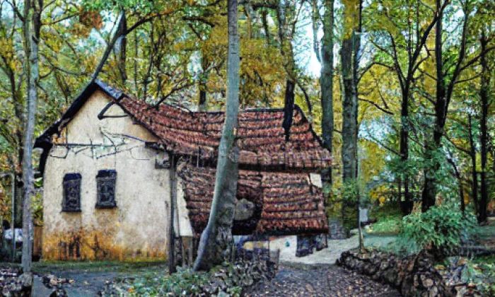 Wiedermannův park – autumn