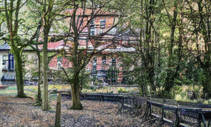 Wiedermannův park – summer