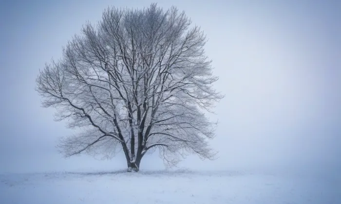 zámek Dolní Suchá – winter
