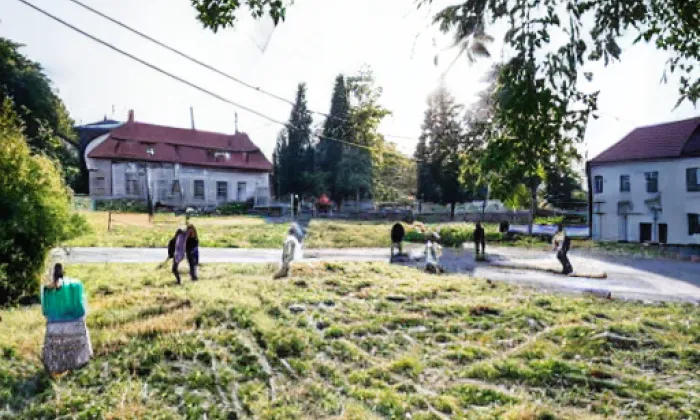 Zahrádka – summer