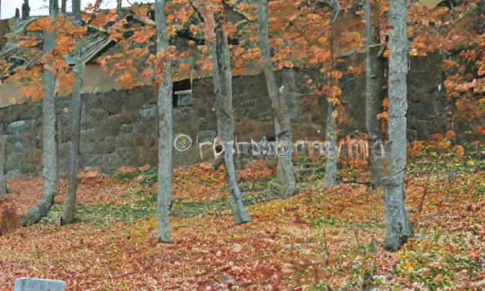 Zbraslav – autumn