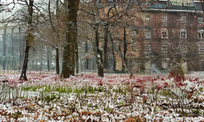 Zbraslav – spring